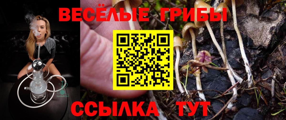 Галлюциногенные грибы Magic Shrooms  Вход с VPN  Конаково 