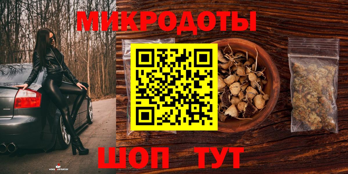Псилоцибиновые грибы Psilocybe Конаково